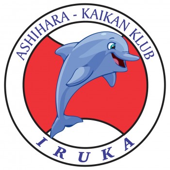 Iruka logo